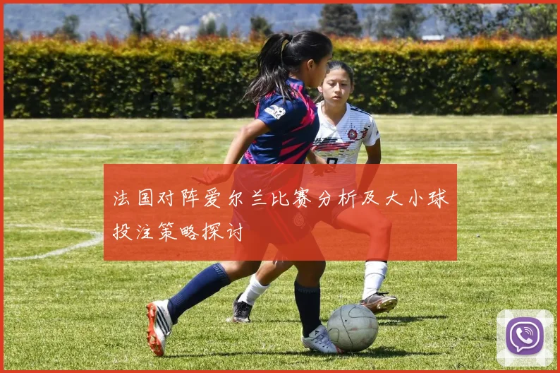 法国对阵爱尔兰比赛分析及大小球投注策略探讨
