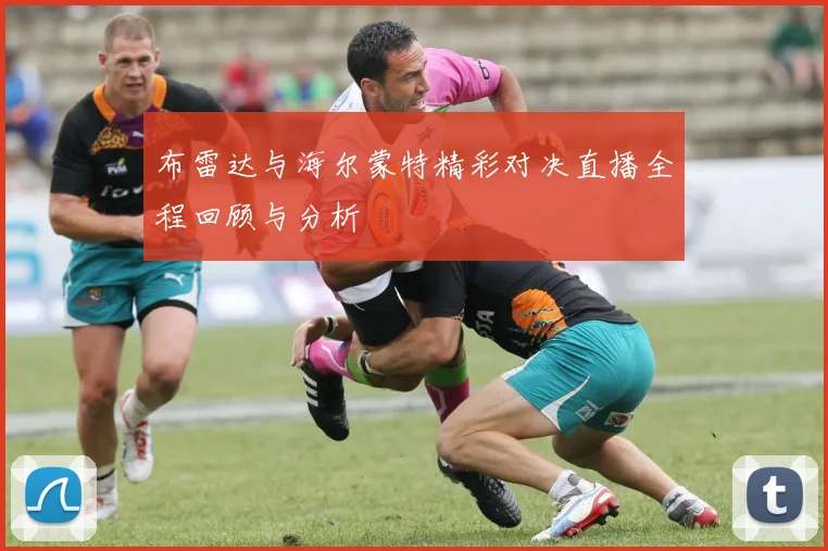 布雷达与海尔蒙特精彩对决直播全程回顾与分析